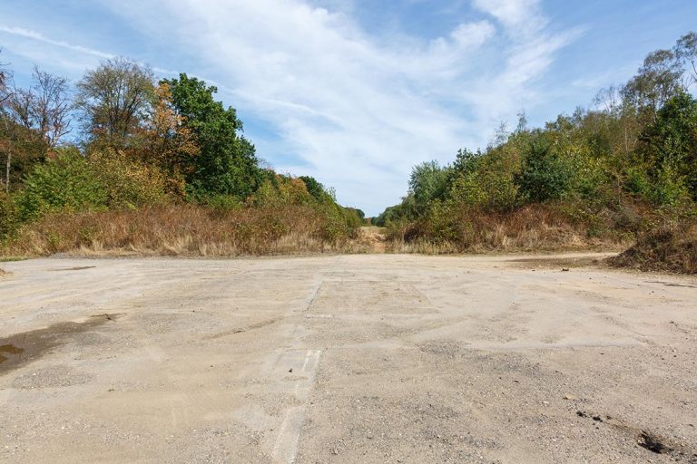 Ulla Anne Giesen Fotografie – Dokumentarfotografie Raum Nordrhein-Westfalen – Bereich Baumlandschaft - Abbildung: RHEIN-ERFT-KREIS Kerpen, ehemalige Autobahn A4, NSG Steinheide