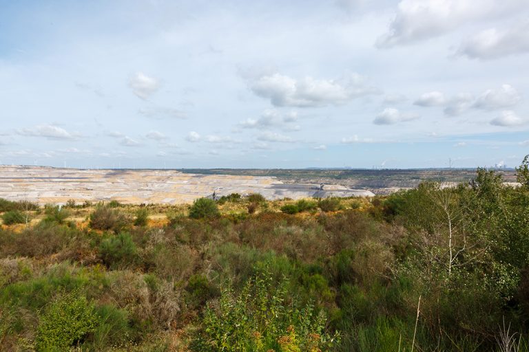 Ulla Anne Giesen Fotografie – Dokumentarfotografie Raum Nordrhein-Westfalen – Bereich Baumlandschaft - Abbildung: RHEIN-ERFT-KREIS Kerpen, renaturierte Fläche Marienfeld, Braunkohletagebau