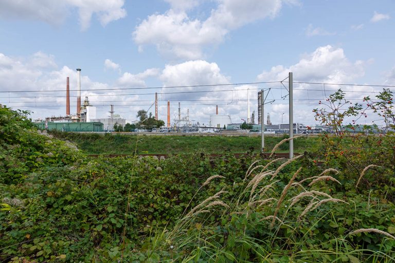 Ulla Anne Giesen Fotografie – Dokumentarfotografie Raum Nordrhein-Westfalen – Bereich Arbeit - Abbildung: KÖLNER BUCHT, Naturschutzgebiet, im Hintergrund Chemieindustrie