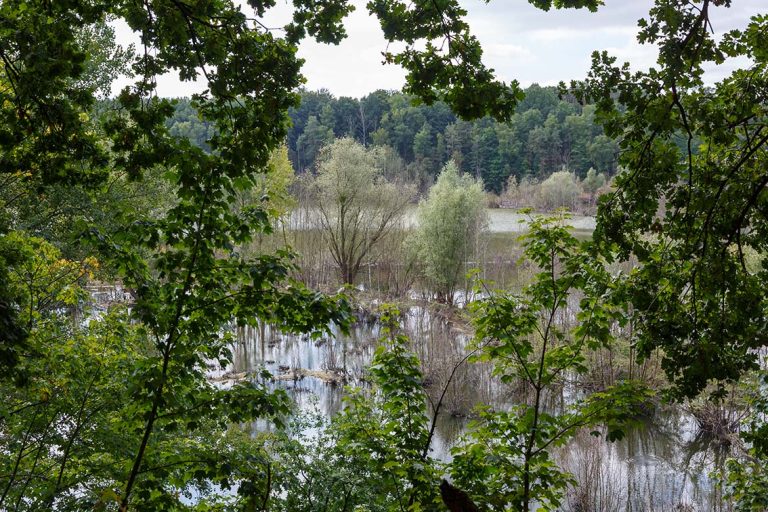 Ulla Anne Giesen Fotografie – Dokumentarfotografie Raum Nordrhein-Westfalen – Bereich Baumlandschaft - Abbildung: KÖLNER BUCHT Köln, Naturschutzgebiet, Mülheim