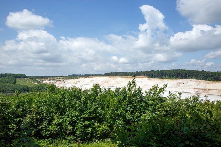 Ulla Anne Giesen Fotografie – Dokumentarfotografie Raum Nordrhein-Westfalen – Bereich Arbeit - Abbildung: RHEIN-ERFT-KREIS, Frechen, Quarzabbau, Renaturierung, Waldgebiet