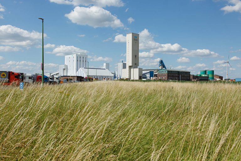Ulla Anne Giesen Fotografie – Dokumentarfotografie Raum Nordrhein-Westfalen – Bereich Arbeit - Abbildung: NIEDERRHEIN, Rheinberg, Salzbergwerk, Salzabbau, Wiese, Landschaft