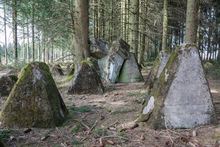 Ulla Anne Giesen Fotografie – Dokumentarfotografie Raum Nordrhein-Westfalen – Bereich Baumlandschaft - Abbildung: EIFEL Westwall,