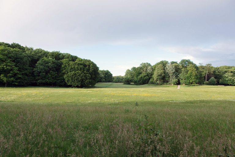 Ulla Anne Giesen Fotografie – Dokumentarfotografie Raum Nordrhein-Westfalen – Bereich Baumlandschaft - Abbildung: KÖLNER BUCHT Köln, Grüngürtel