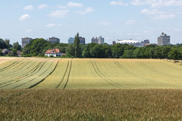 Ulla Anne Giesen Fotografie – Dokumentarfotografie Raum Nordrhein-Westfalen – Bereich Arbeit - Abbildung: RUHRGEBIET Bochum, Ruhr Universität Bochum, Campus hinter einem Feld