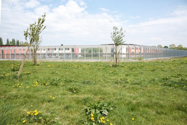 Ulla Anne Giesen Fotografie – Dokumentarfotografie Raum Nordrhein-Westfalen – Bereich Arbeit - Abbildung: RHEIN-ERFT-KREIS, Bedburg, Forensik, Sicherheitszaun dahinter Gebäude, Wiese, junge Bäume