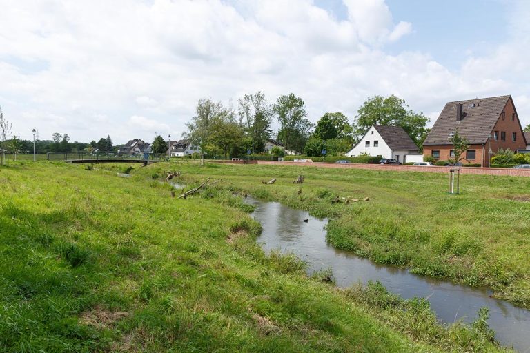 Ulla Anne Giesen Fotografie – Dokumentarfotografie Raum Nordrhein-Westfalen – Bereich Wasser - Abbildung: NIEDERRHEIN Fluss Düssel, renaturierte Düssel, Aue, Wiese