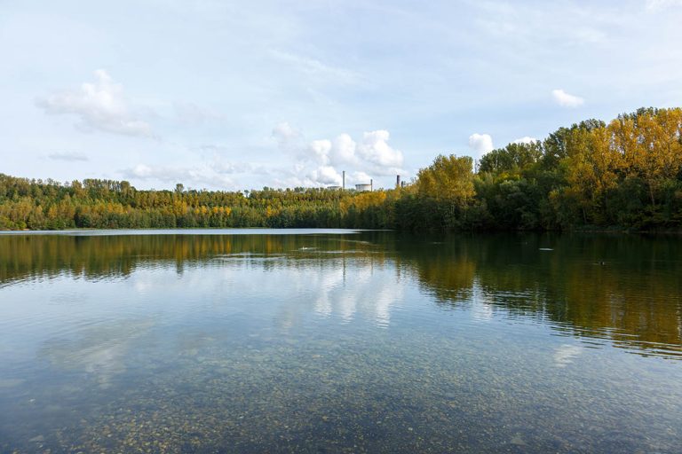 Ulla Anne Giesen Fotografie – Dokumentarfotografie Raum Nordrhein-Westfalen – Bereich Wasser - Abbildung: NIEDERRHEIN Neurather See, künstlicher See durch Kühlwasser der Kraftwerke, Biotop, Baum,